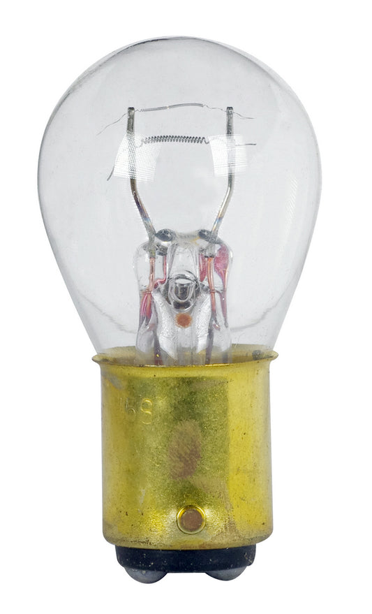 (4-Pack) Light Bulb in Clear