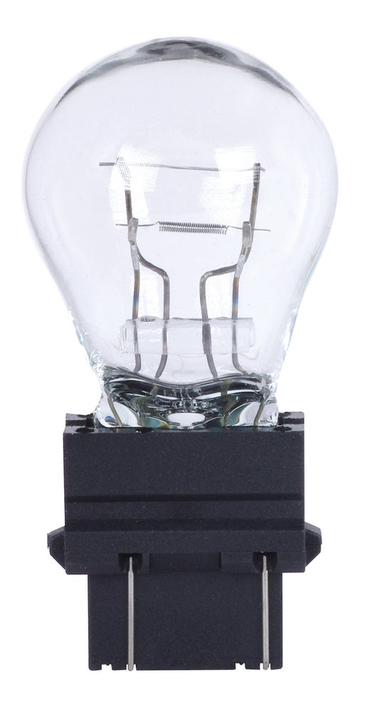 (4-Pack) Light Bulb in Clear