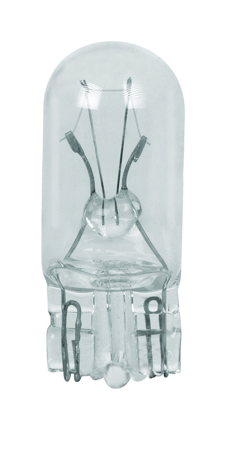 (4-Pack) Light Bulb in Clear
