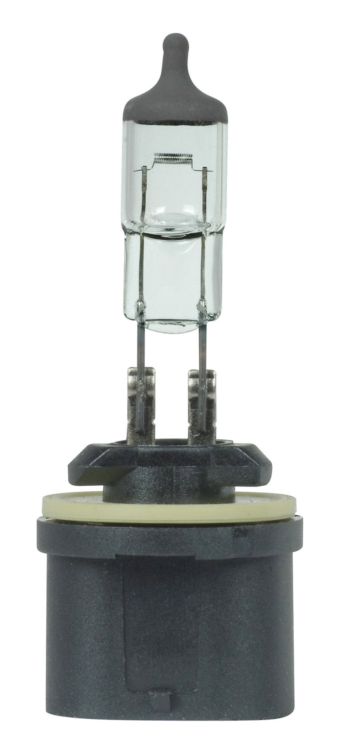 (4-Pack) Light Bulb in Black Crown