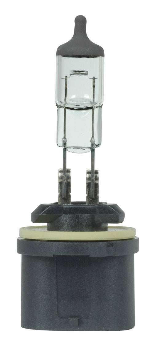 (4-Pack) Light Bulb in Black Crown