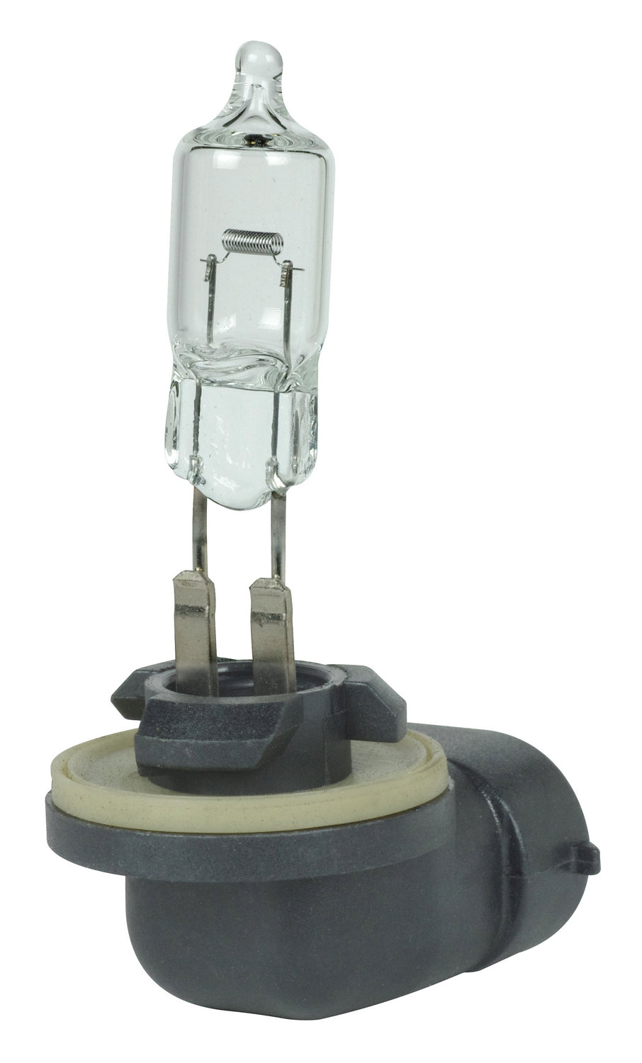 (4-Pack) Light Bulb in Clear