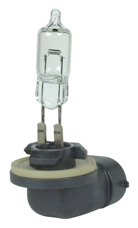 (4-Pack) Light Bulb in Clear