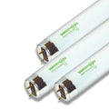 (4-Pack) Light Bulb in White