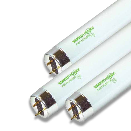 (4-Pack) Light Bulb in White