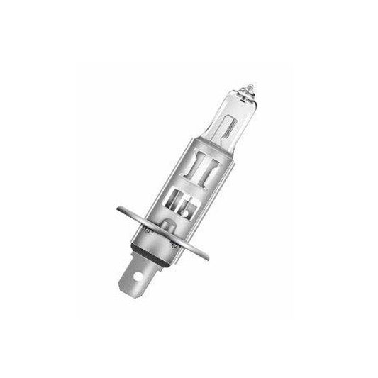 (4-Pack) Light Bulb in Clear