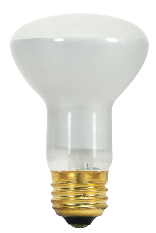 (4-Pack) Light Bulb in Frost