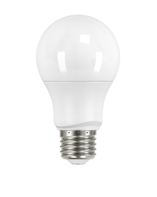 (4-Pack) Light Bulb in Frost