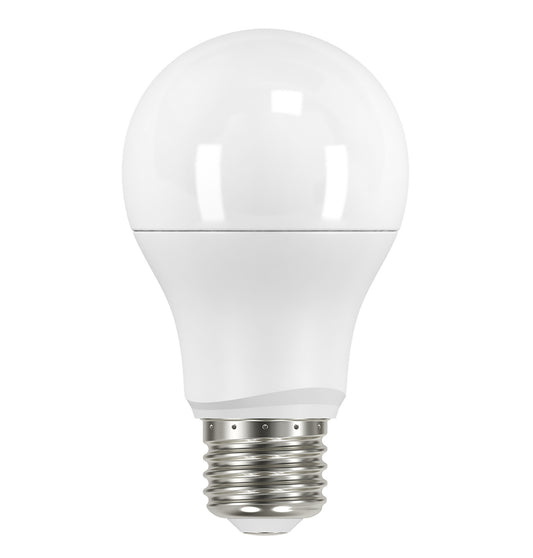 (4-Pack) Light Bulb in Frost