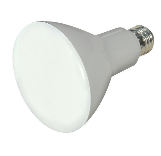(4-Pack) Light Bulb in Frost