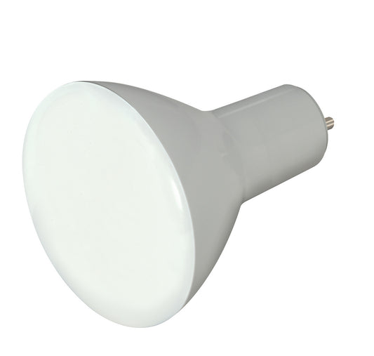 (4-Pack) Light Bulb in Frost