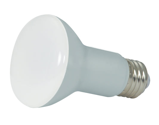 (4-Pack) Light Bulb in Frost