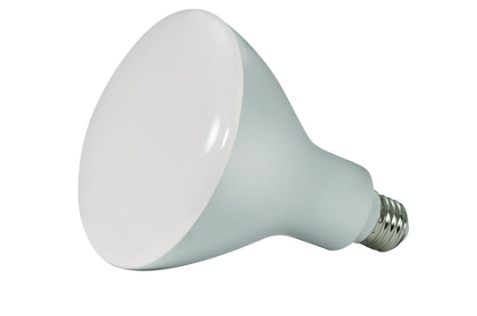(4-Pack) Light Bulb in Frost