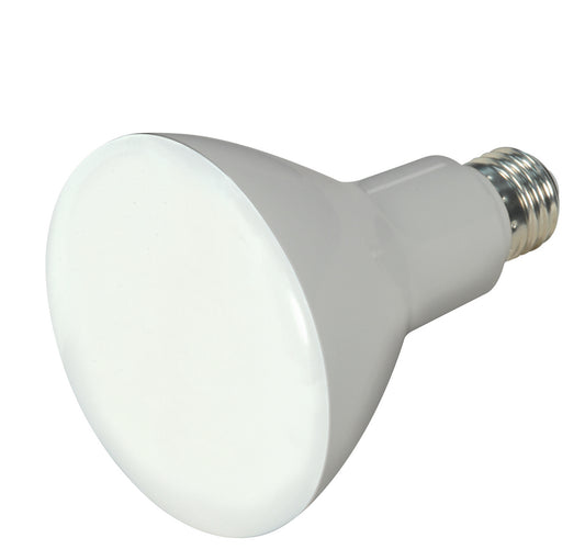 (4-Pack) Light Bulb in Frost