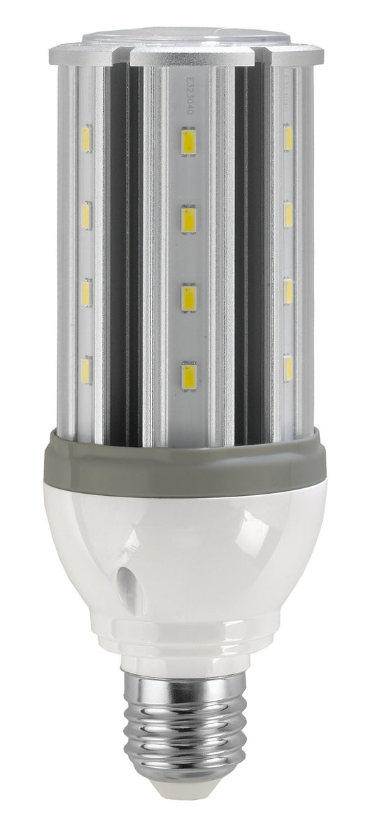 (4-Pack) Light Bulb in Clear