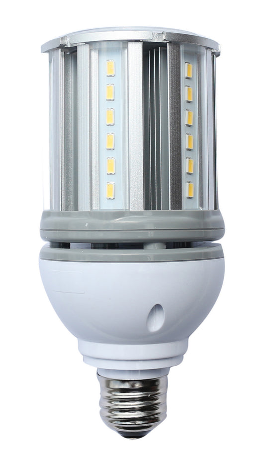 (4-Pack) Light Bulb in Clear