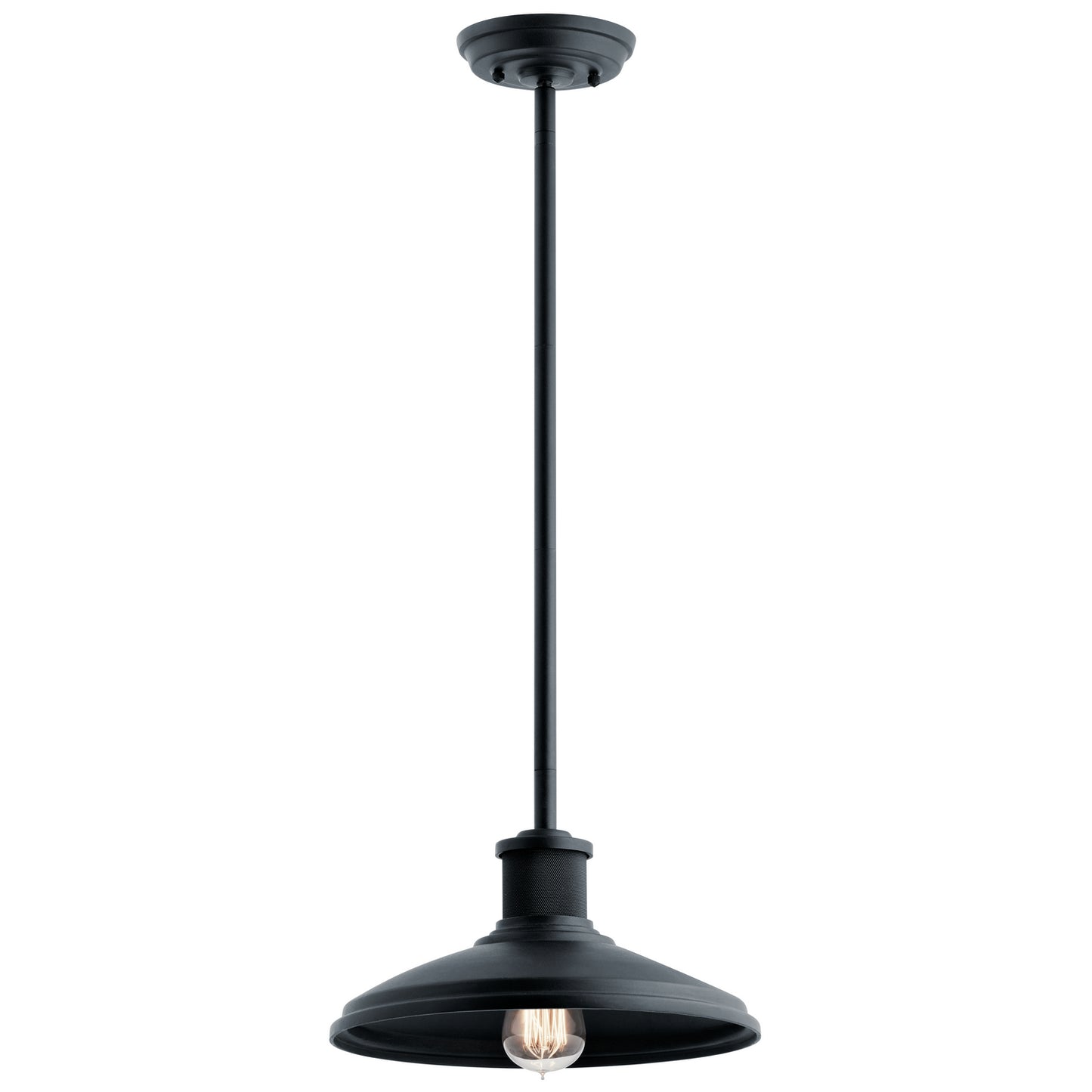 Allenbury One Light Outdoor Pendant/Semi Flush in Textured Black