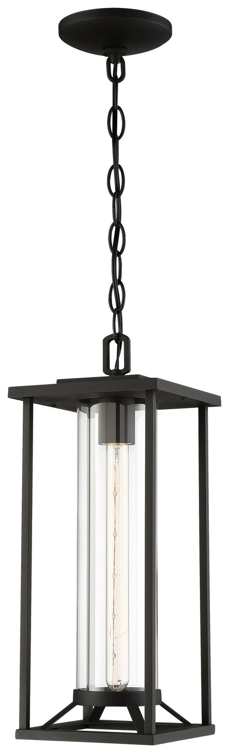 Trescott One Light Chain Hung Lantern in Coal