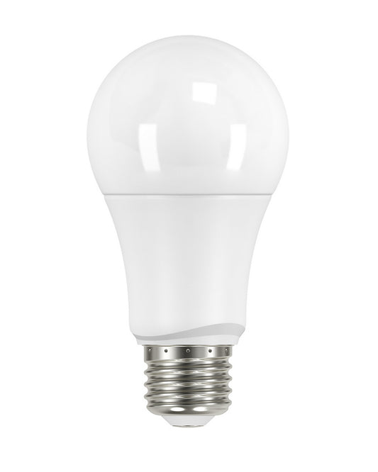 (4-Pack) Light Bulb in Frost