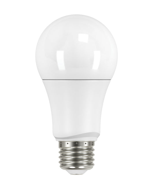 (4-Pack) Light Bulb in Frost