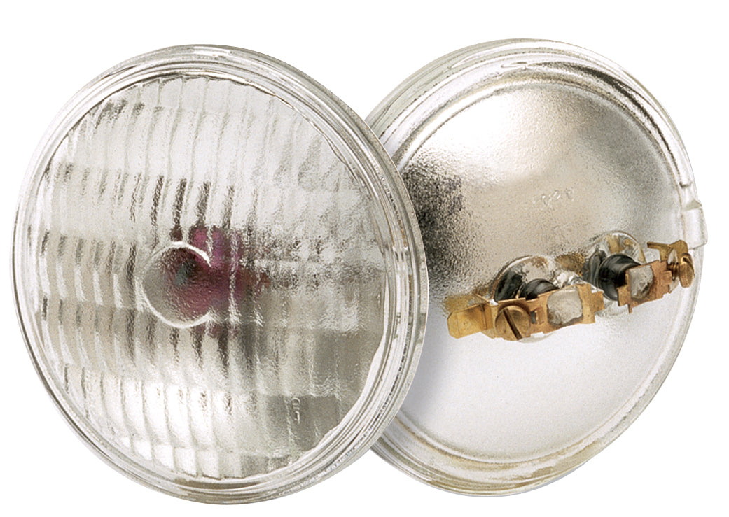 (4-Pack) Light Bulb in Clear