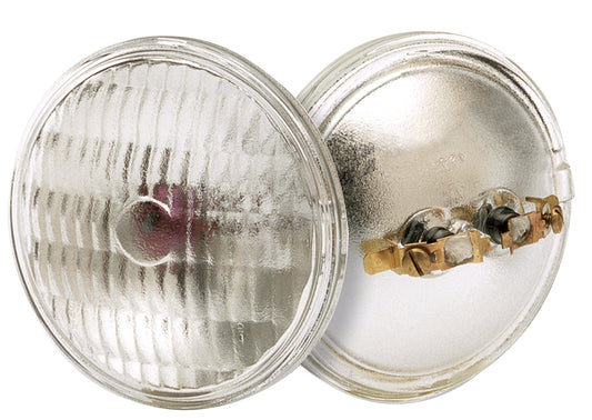 (4-Pack) Light Bulb in Clear