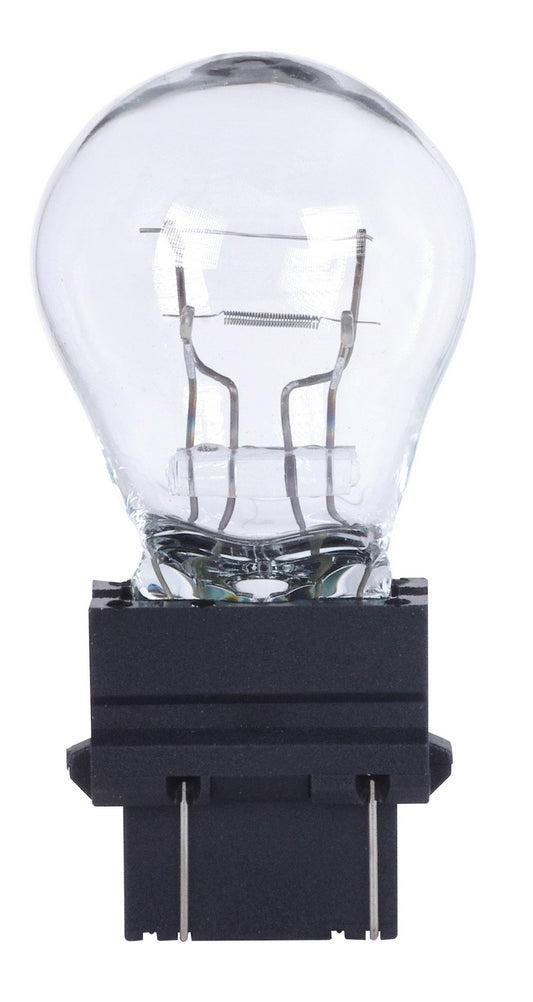 (4-Pack) Light Bulb in Clear
