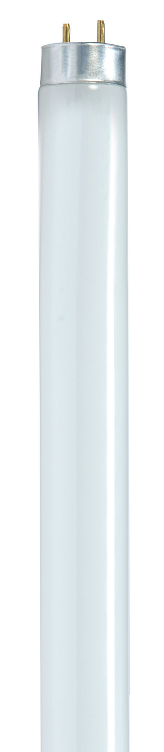 Satco - S8421-TF - Light Bulb - White