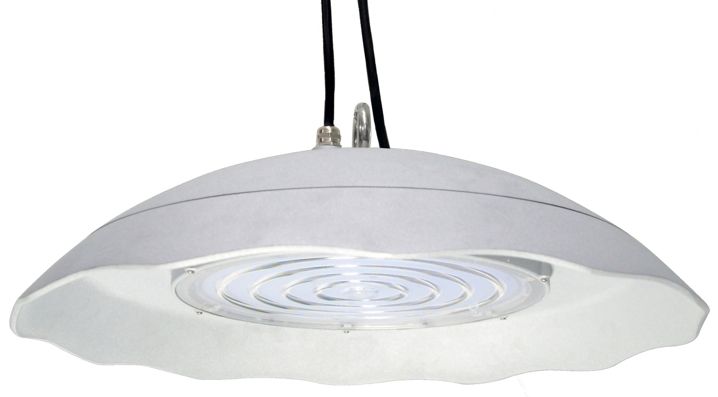 LED Food Service & Laboratory High Bay in White