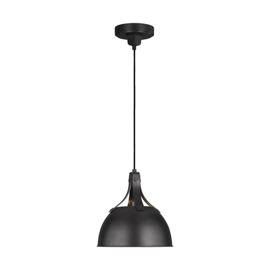 Logan One Light Pendant in Aged Iron