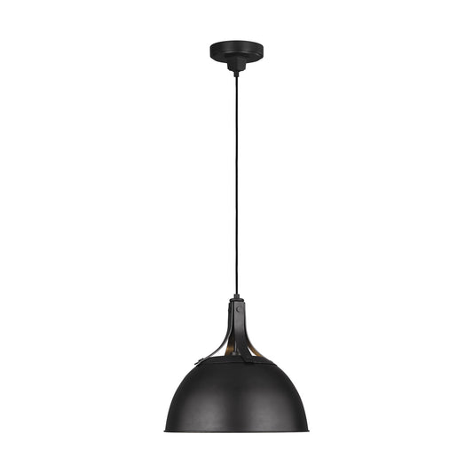 Logan One Light Pendant in Aged Iron