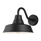 Barn Light One Light Outdoor Wall Lantern in Black