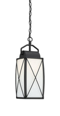 Fairlington One Light Hanging Lantern in Black