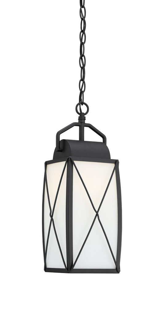 Fairlington One Light Hanging Lantern in Black