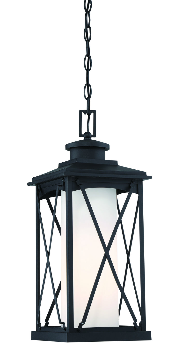 Lansdale One Light Chain Hung Outdoor in Matte Black