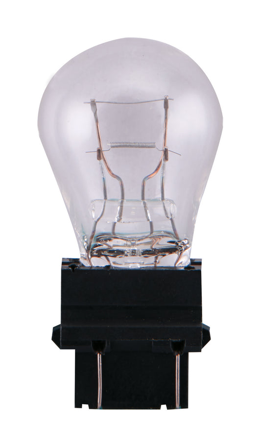 (4-Pack) Light Bulb in Clear