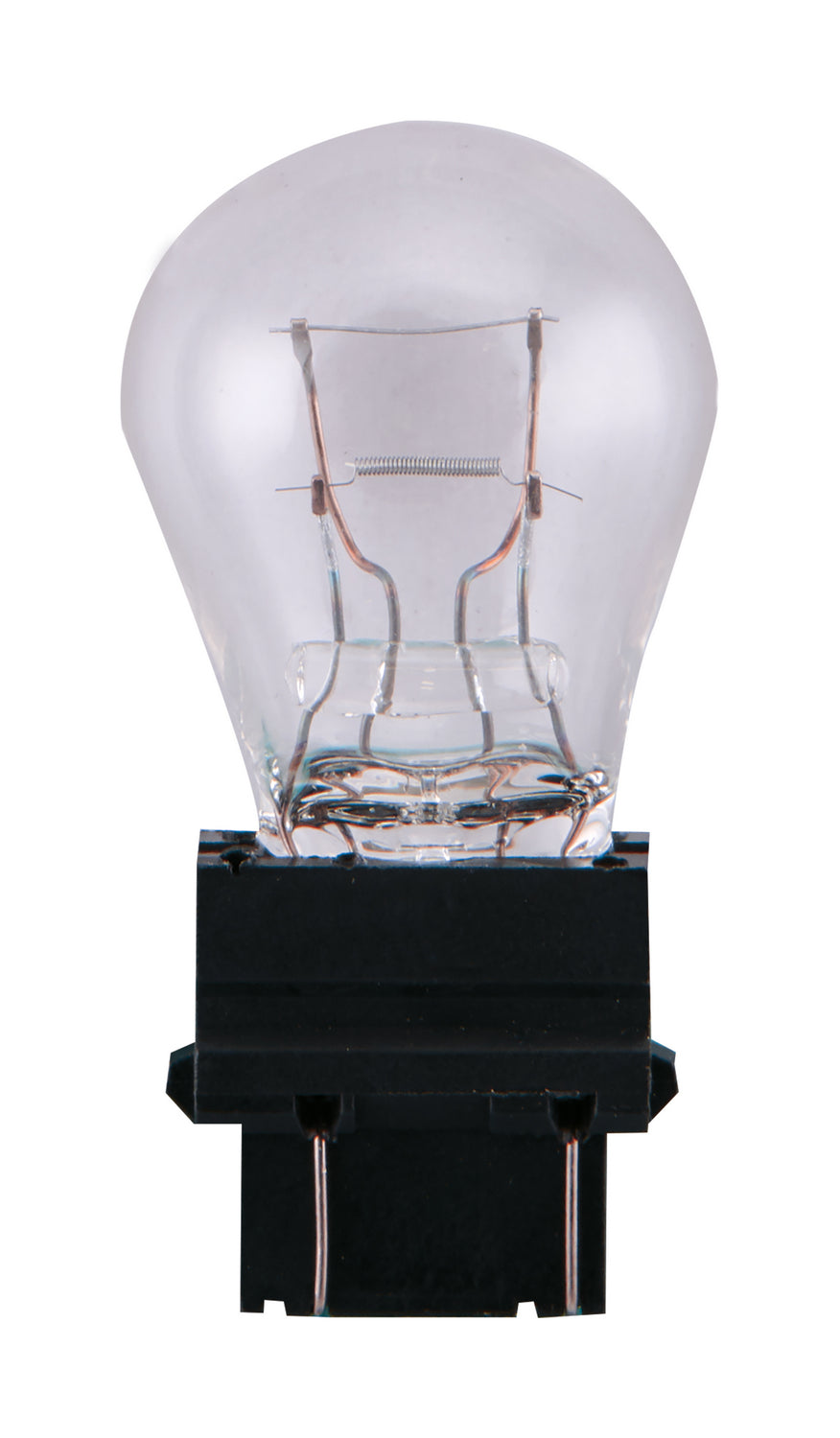 (4-Pack) Light Bulb in Clear