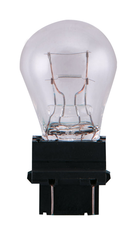 (4-Pack) Light Bulb in Clear