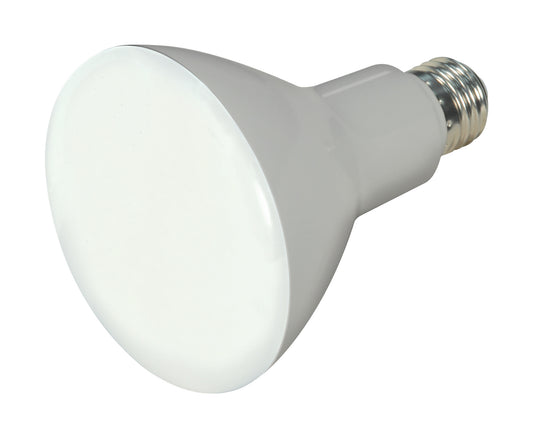(4-Pack) Light Bulb in Frost
