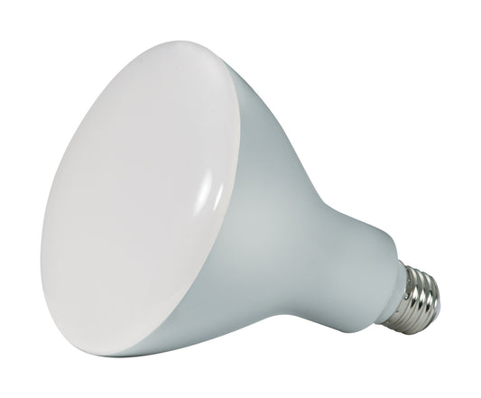 (4-Pack) Light Bulb in Frost