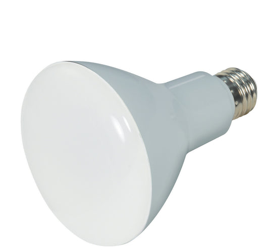 (4-Pack) Light Bulb in Frost