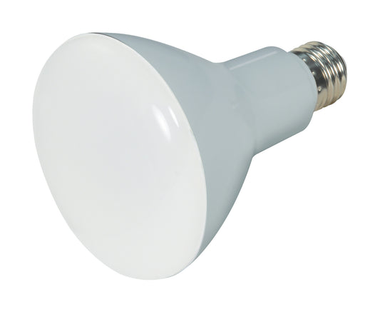 (4-Pack) Light Bulb in Frost