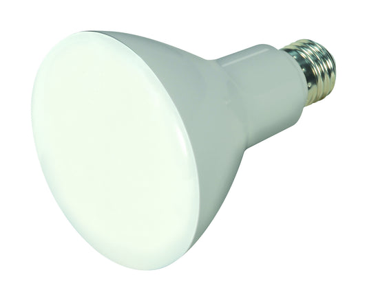(4-Pack) Light Bulb in Frost