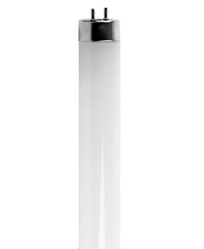 18W LED T8 3000K 4' BI-PIN DIRECT