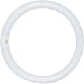 22W FC8 T9 Circline - Fluorescent - 4-Pin Base - Cool White