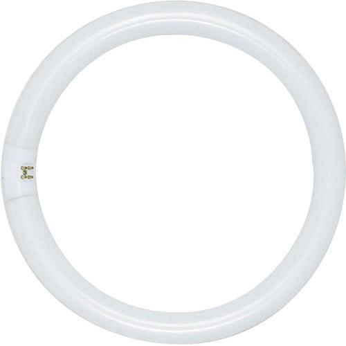32W FC12 T9 Circline - Fluorescent - 4-Pin Base - Cool White