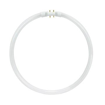 40W T5 Circline - Fluorescent 4100K Cool White 2GX13 (4-Pin)