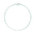 55W T5 Circline - Fluorescent 3000K Warm White 2GX13 (4-Pin)