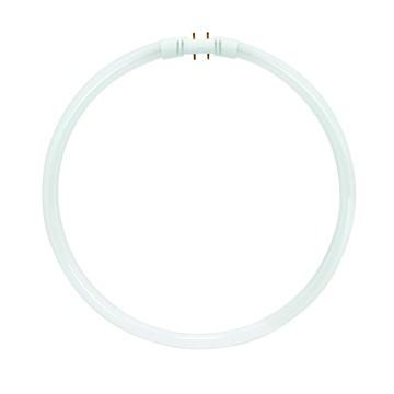55W T5 Circline - Fluorescent 3500K Neutral White 2GX13 (4-P
