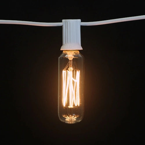 T8 Antique Bulb, Squirrel Cage Filament, 15W, E12, clear - (